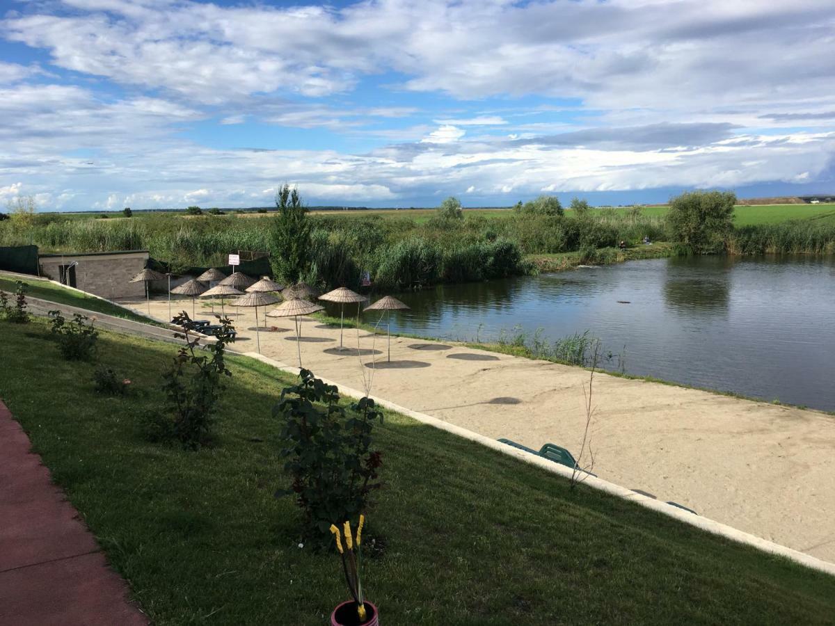 Luxury Apartment With Pool In North Bucharest Cretuleasca エクステリア 写真