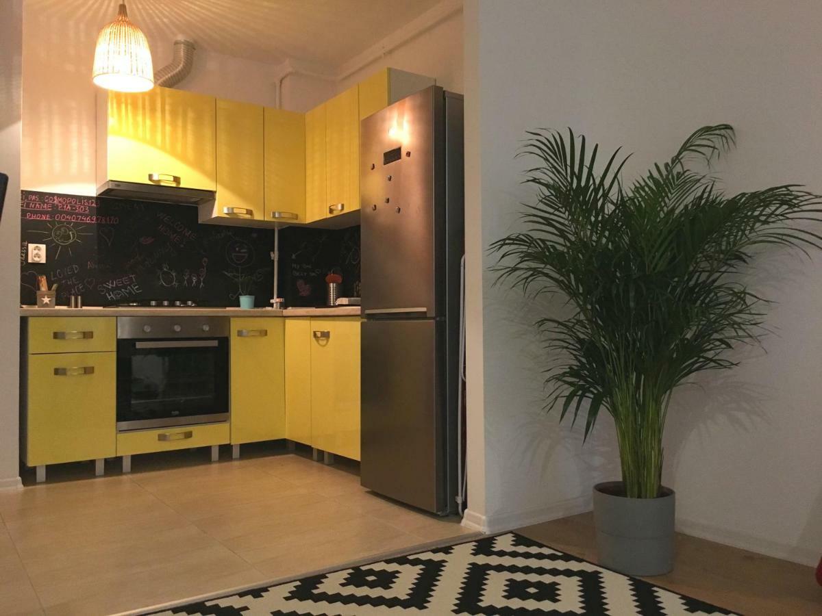 Luxury Apartment With Pool In North Bucharest Cretuleasca エクステリア 写真